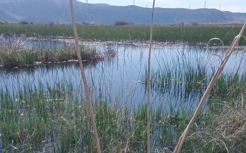 Karakuyu Gölü İçin Vatandaşlardan Denetim ve Foto Kapan Çağrısı