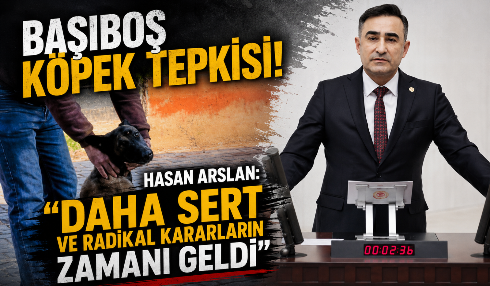 BAŞIBOŞ KÖPEK TEPKİSİ! HASAN ARSLAN: “DAHA SERT VE RADİKAL KARARLARIN ZAMANI GELDİ”