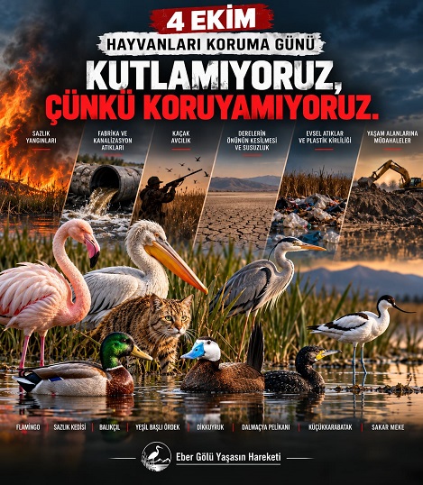 EBER GÖLÜ’NDEN 4 EKİM’DE ÇARPICI MESAJ: “KUTLAMIYORUZ; ÇÜNKÜ KORUYAMIYORUZ!”