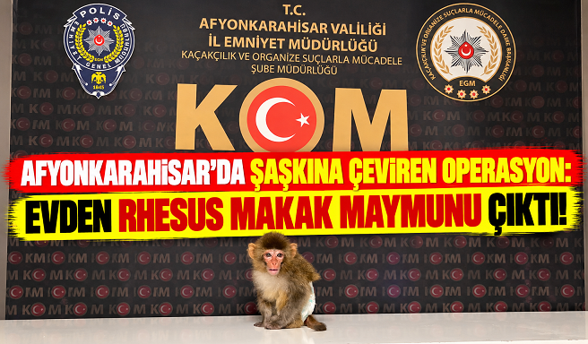 AFYONKARAHİSAR’DA ŞAŞKINA ÇEVİREN OPERASYON: EVDEN RHESUS MAKAK MAYMUNU ÇIKTI!